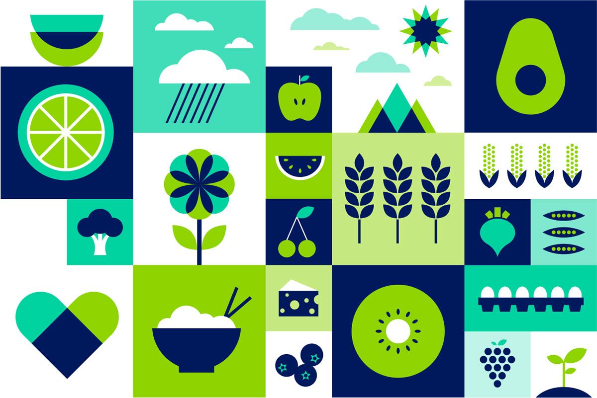 Image depicts a series of brightly coloured graphics around plants and food.