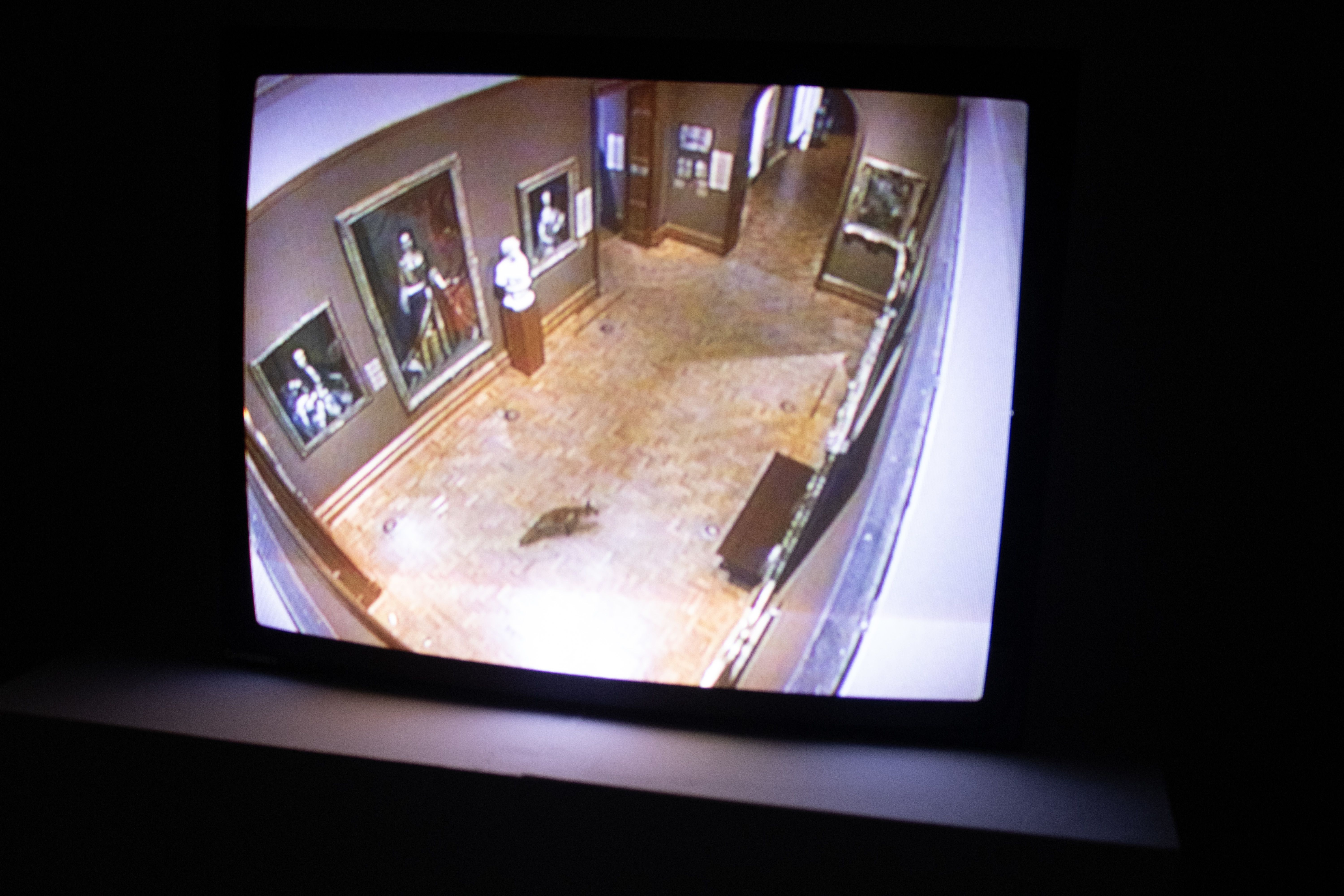 a screen showing a gallery 
