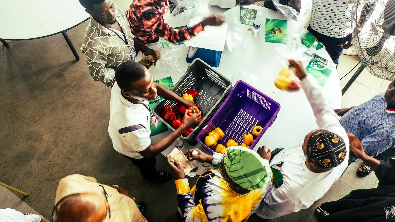 Farm Launch Event 'Peppers grown on Farm' -G.A.S.Foundation