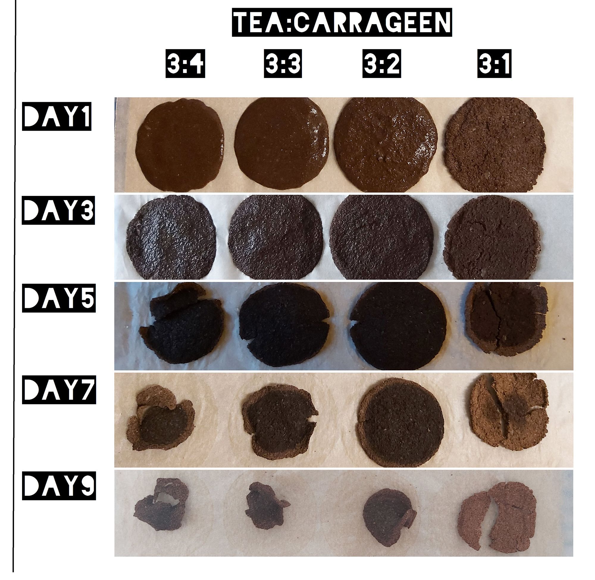  Image of tea carrageen showing its change in condition going through a drying process over 9 days. 