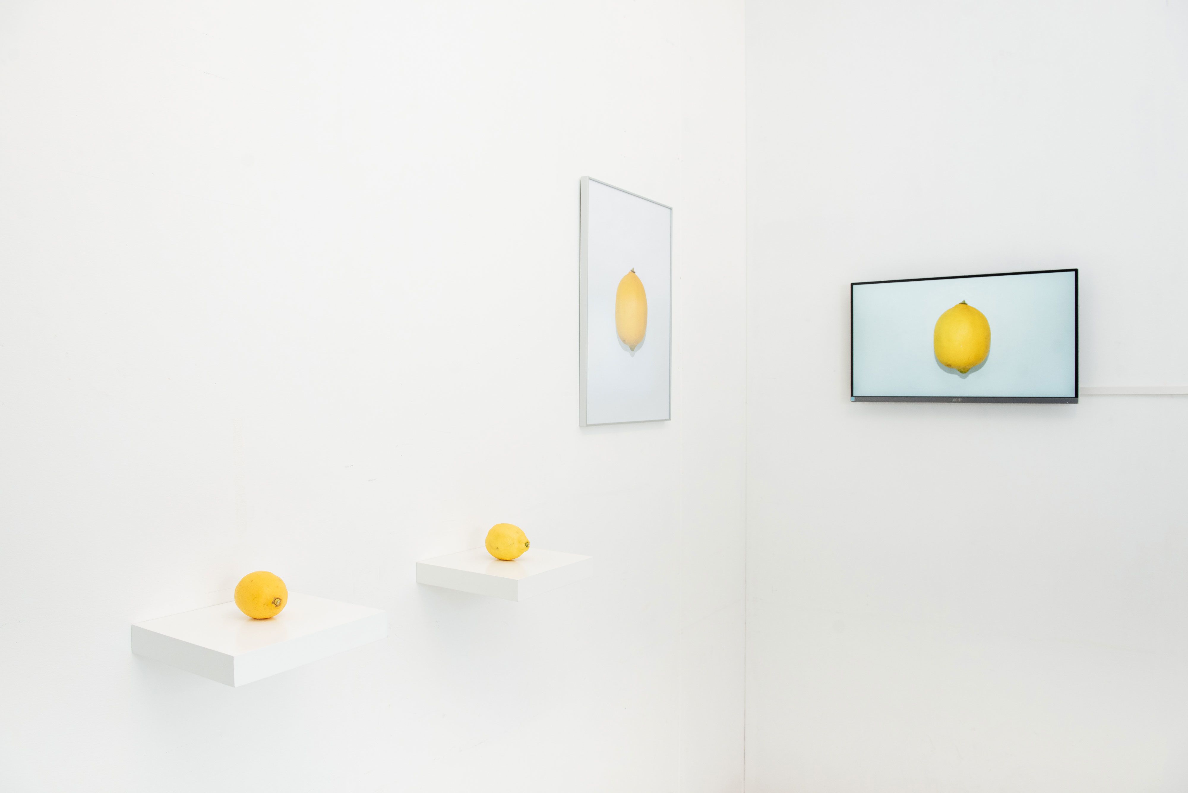 Performance sculpture work, consisting of fresh lemons, crafted lemons, photographed lemon, and filmed lemon.