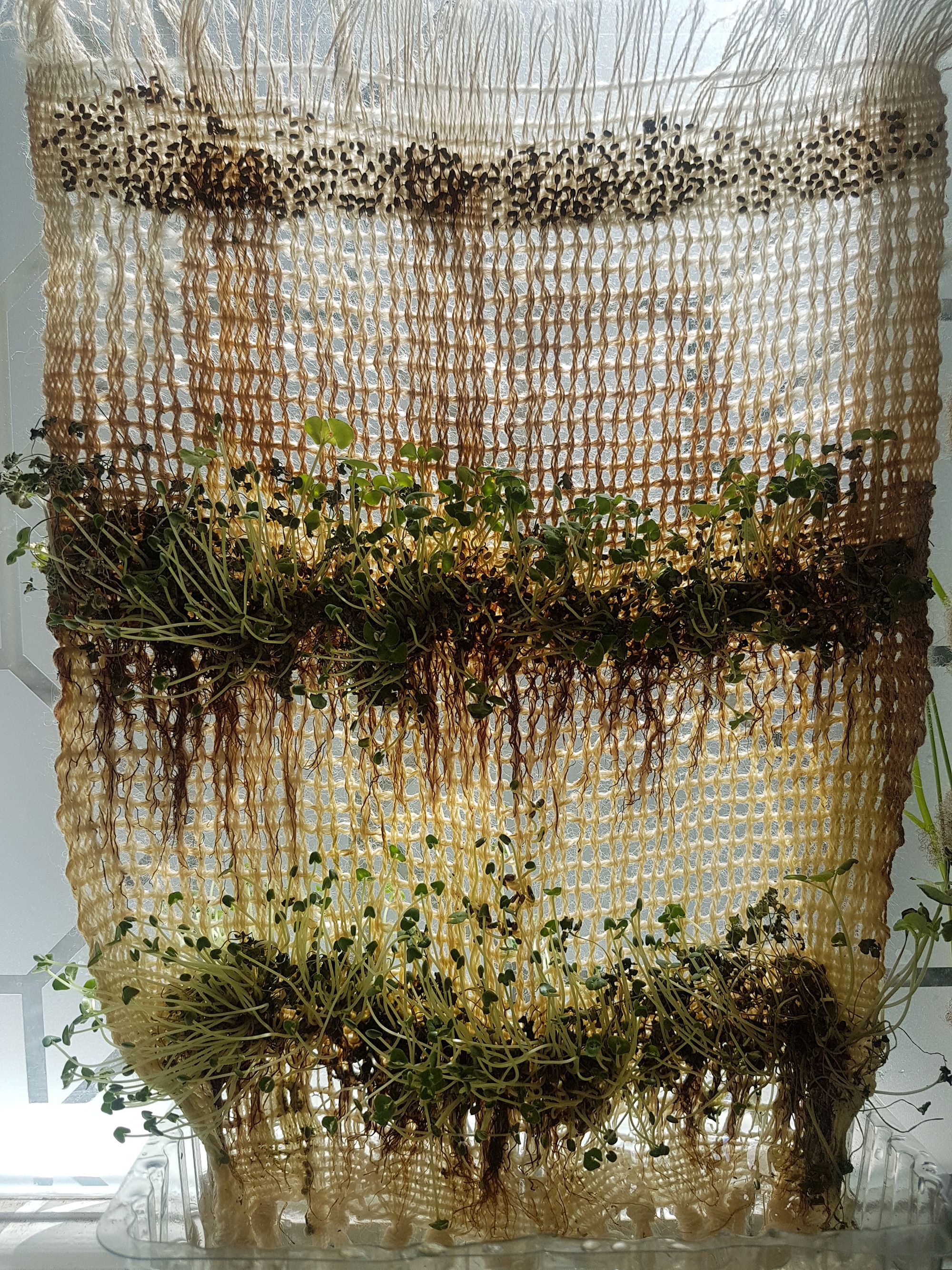 seed fabric hanging 