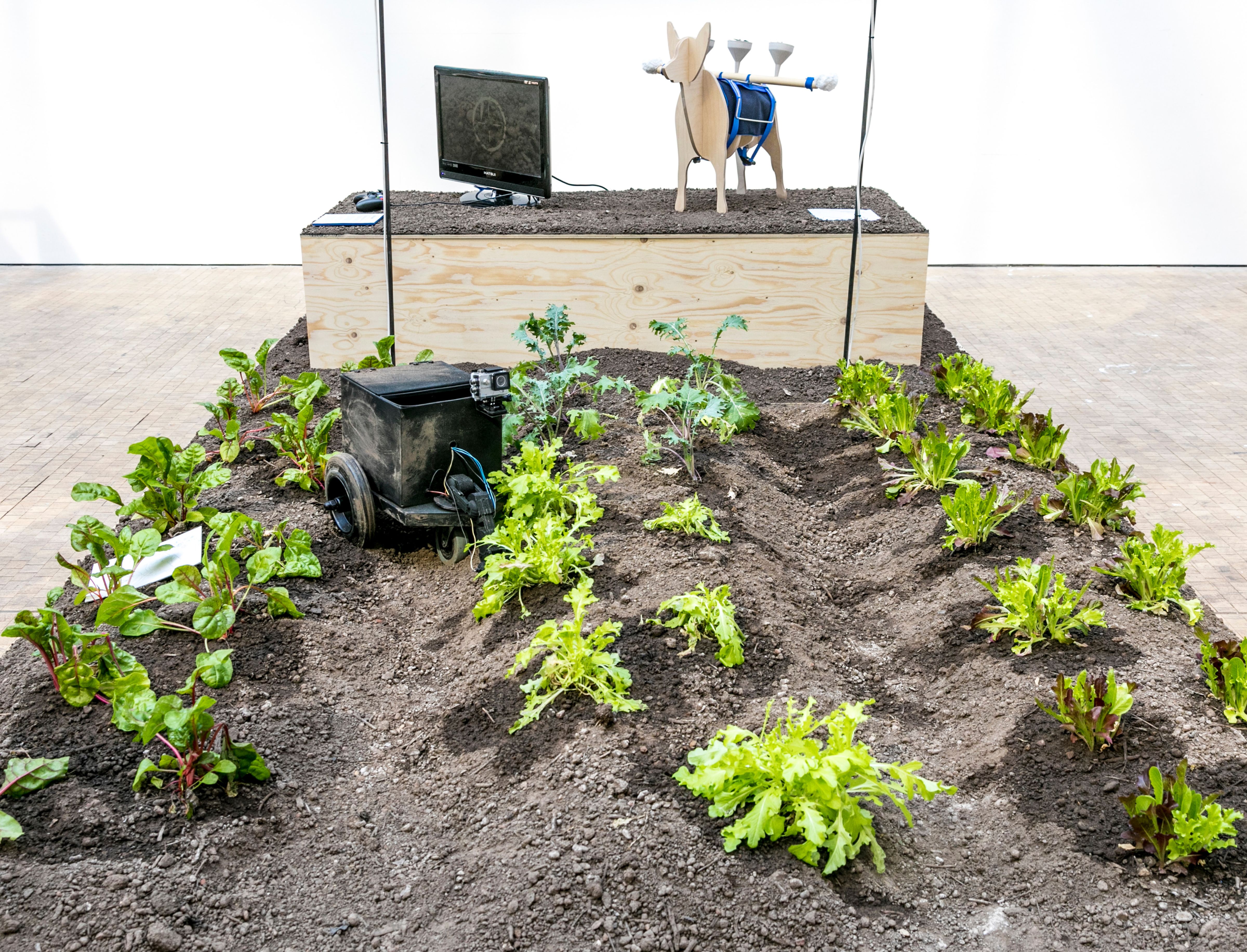 An installation with a patch of soil and plants growing. There is a wooden raised stand at the back with a wooden dog carrying filter-like shapes on its back. There is a monitor at the back showing a shot of the plant patch which is coming from a camera attached to a cube robot. 