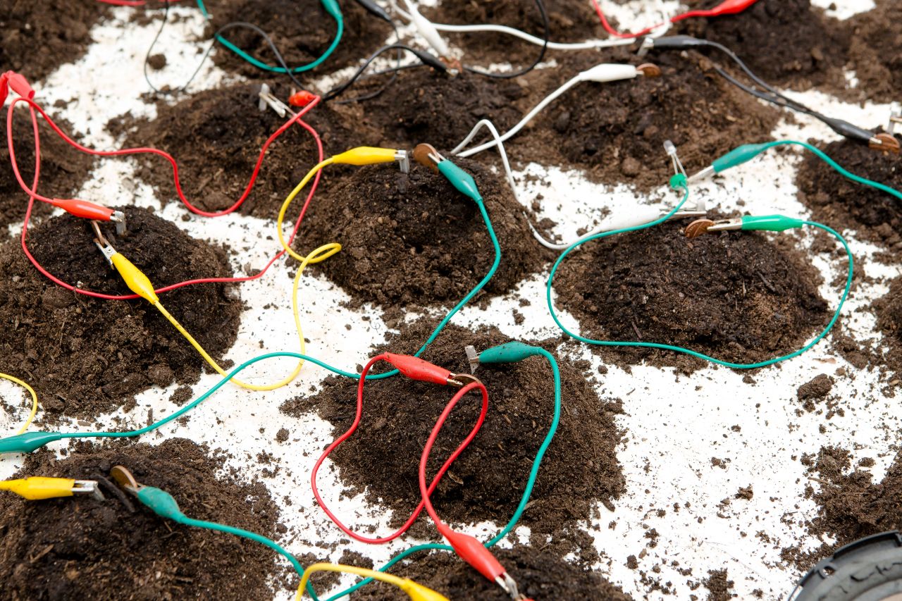 Soil with electrical wires in it