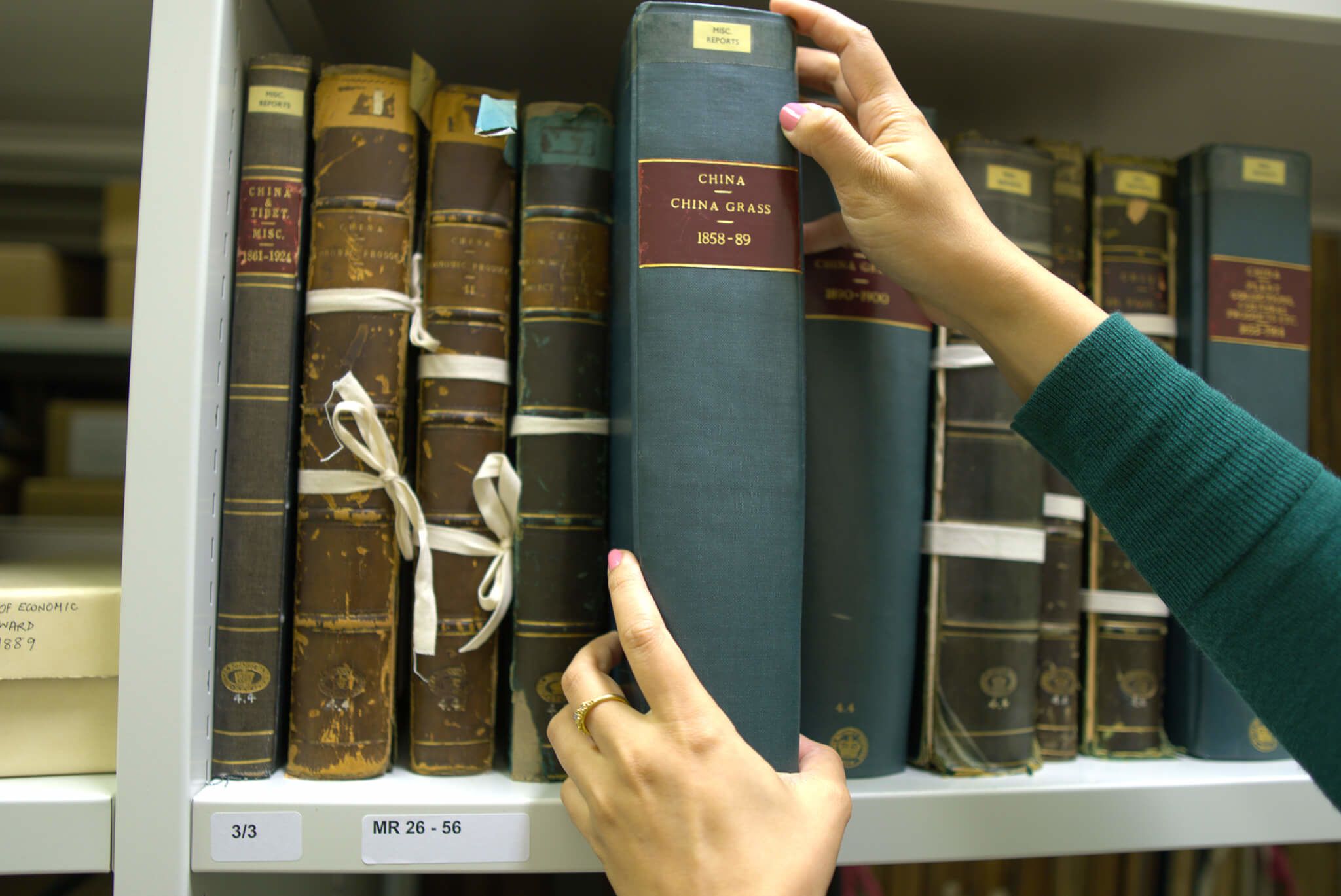 This image shows the archival bound volumes of the Miscellaneous Reports: China on a shelf in the Archive at the Royal Botanical Gardens, Kew. It includes Anushka Tay’s hands. 