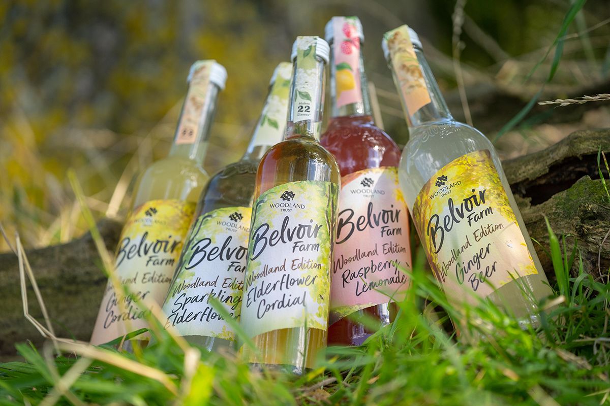 Photograph of a series of drinks bottles featuring graphic labels.