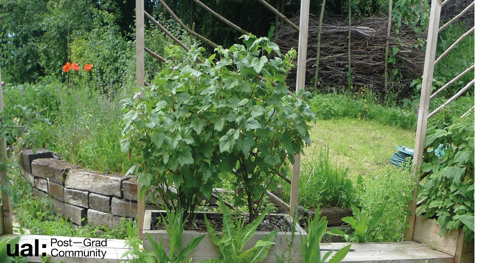 Flower bed at Stave Hill Ecological Park