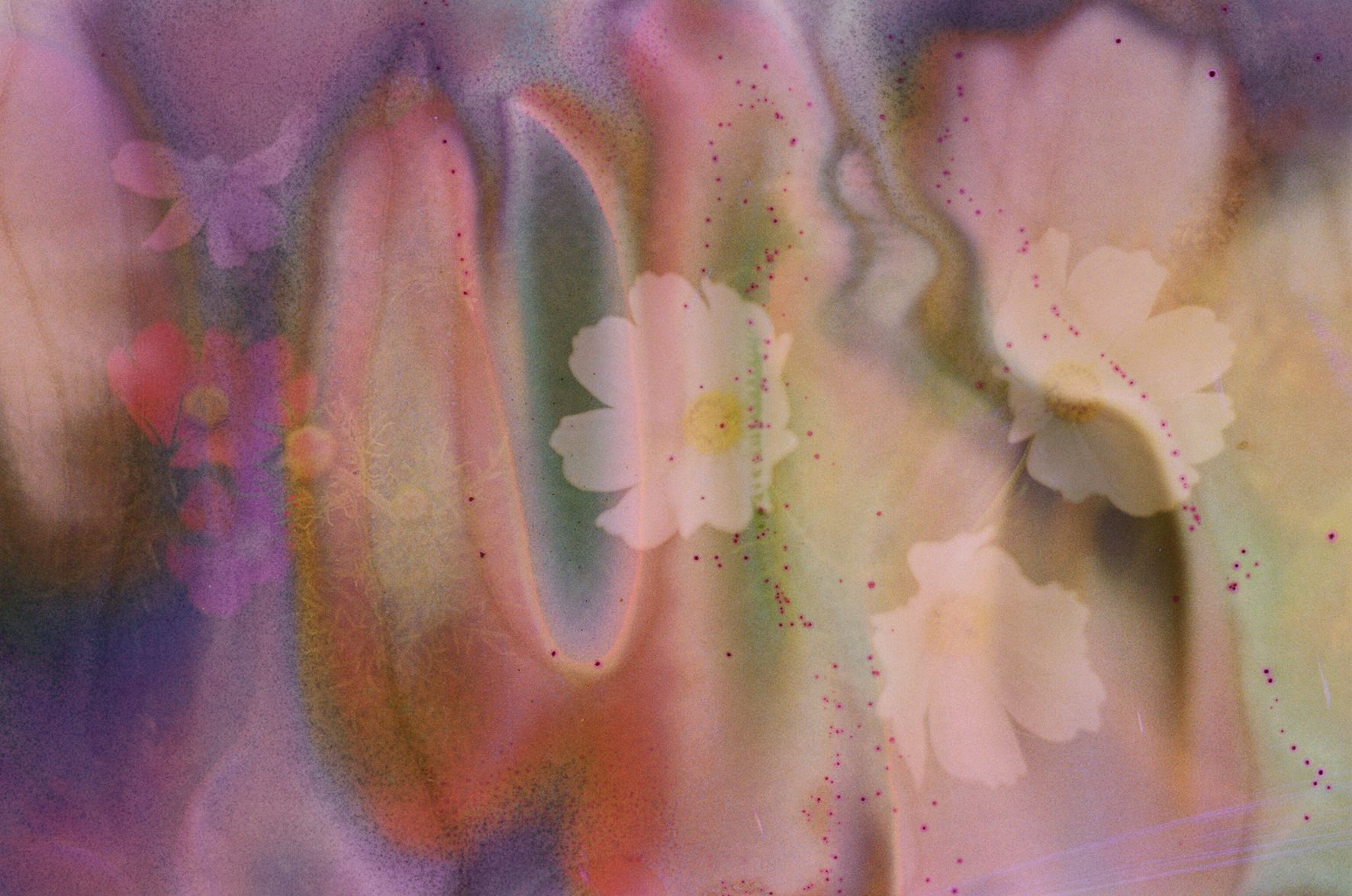Pastel image with flowers