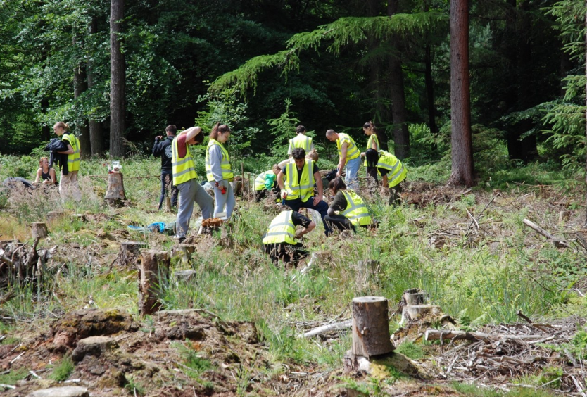 A group of 10 students in high-vis vests working in a forest