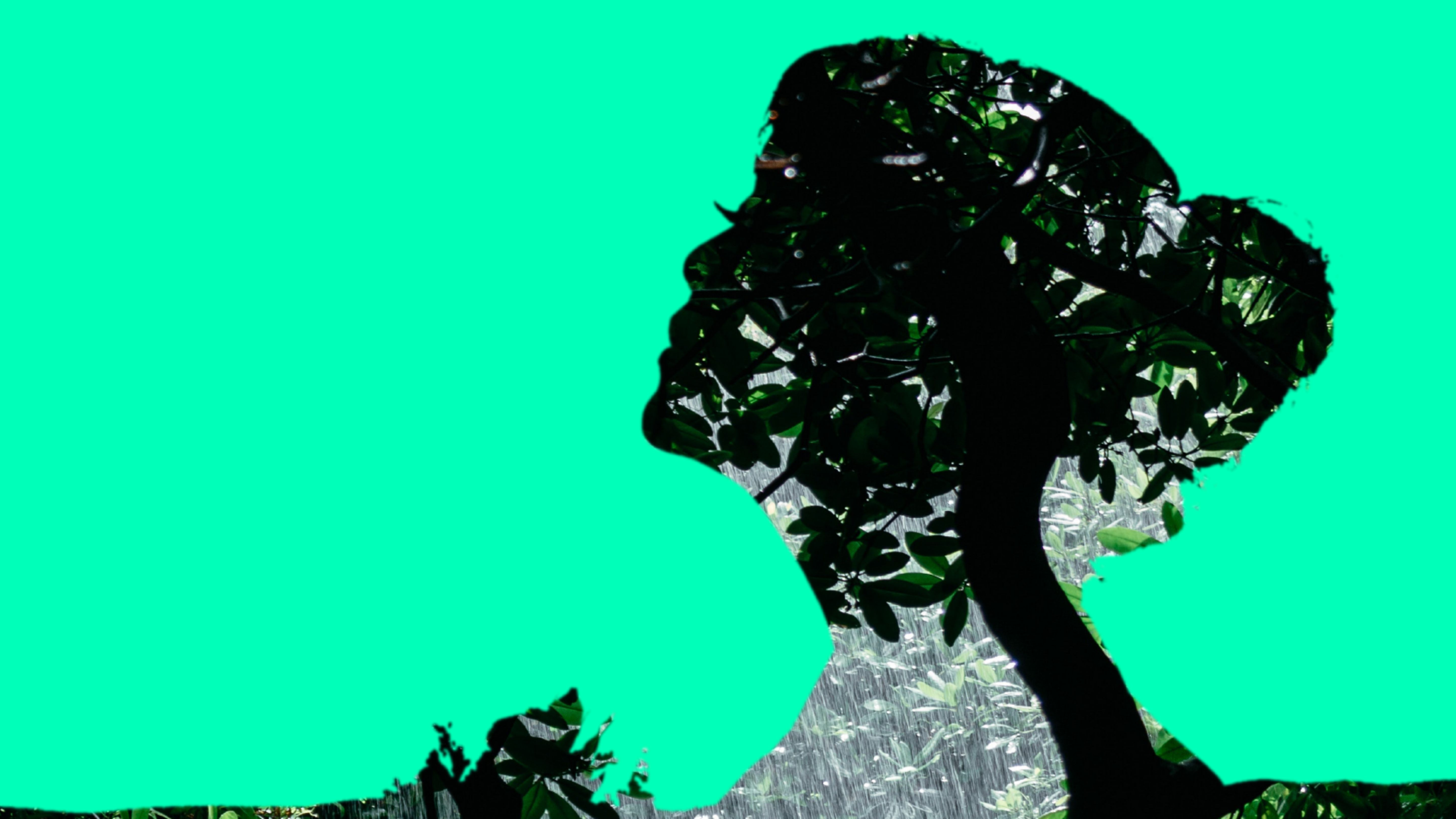 green illustrative poster