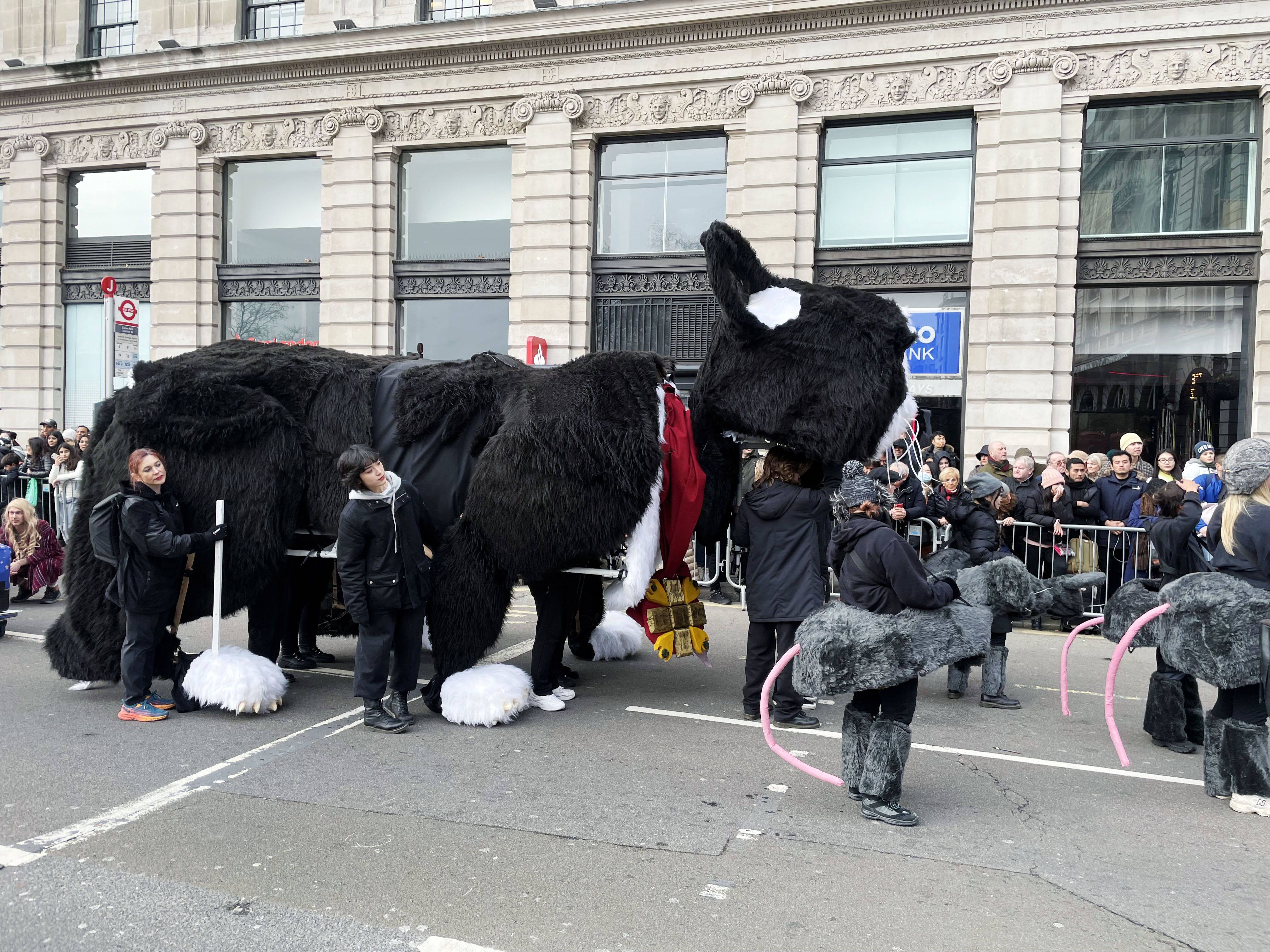 Image shows a crowd of spectators looking at a side view of a large black and white cat puppet with several people holding the cat. There are people dressed as mice surrounding the cat.