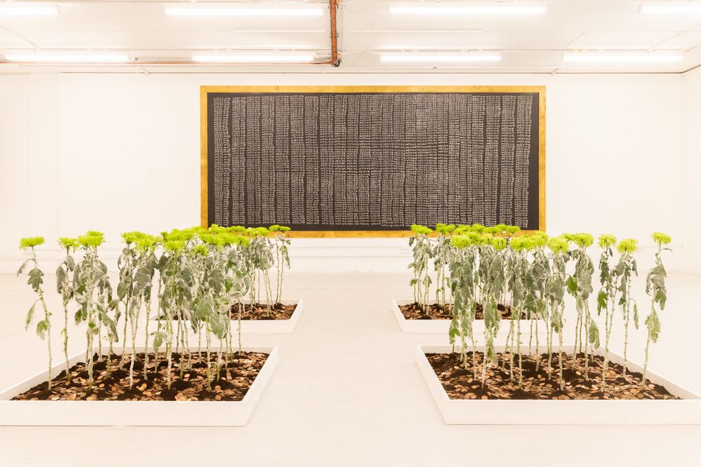 a gallery room filled with plants