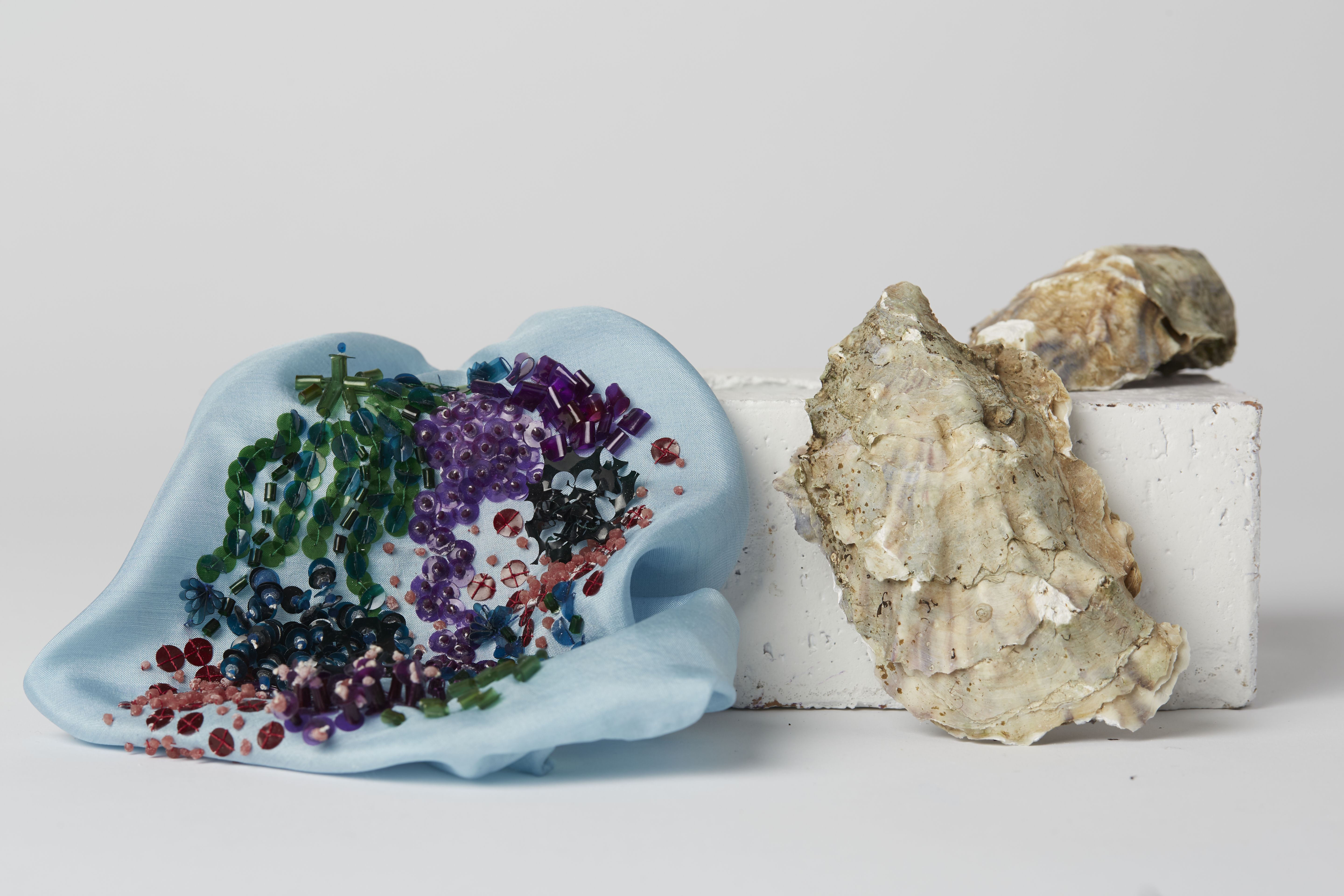 Biodegradable sequins in green, purple and red alongside an oyster shell