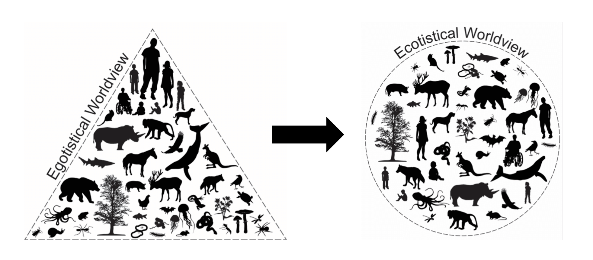 a triangle of animals pointing at a circle of animals
