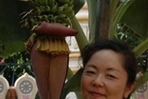 Dr Yuko Kikuchi