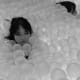 Profile picture of Yiu Chuk Alicia Lam