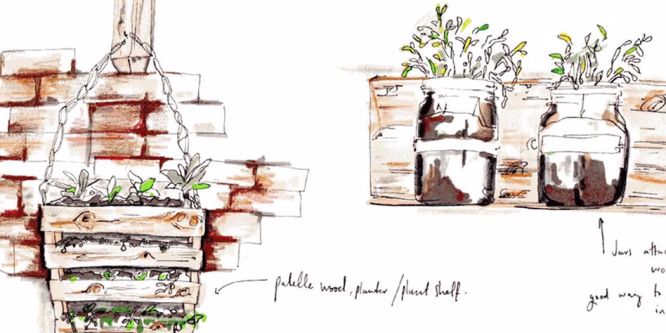 Illustrations of plant growing pots for South West Trains