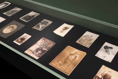 photos of roses in display case