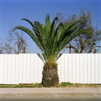 Garden State by Corrine Silva