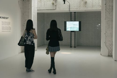 People watching screens