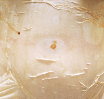 A close-up image of a body covered in a film