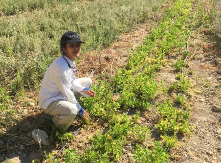 Mona in a field in Jordan