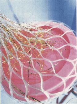 A pink disc is covered in a transclucent net