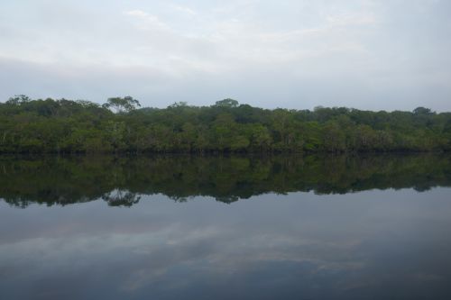 Reflections on the Rio Negro river (photos by Yifeat Ziv)