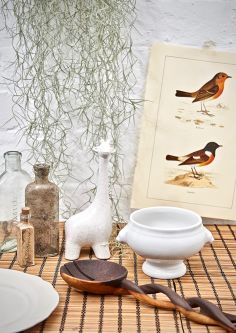 Interior Styling for Editorial and PR student work.