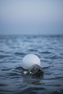 A white ball and green bottle floating in the sea