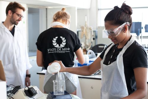 Students working in lab