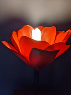 Photograph of red flower with light bulb in the centre