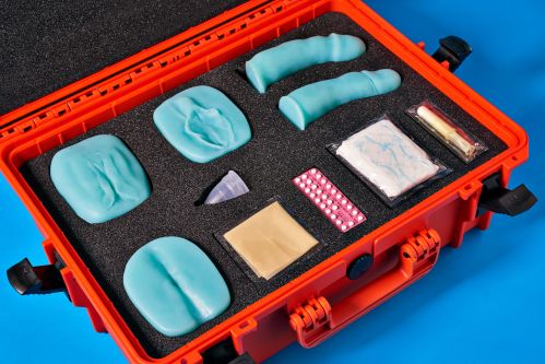 A case of objects including a sanitary towel, condom and models of genitals