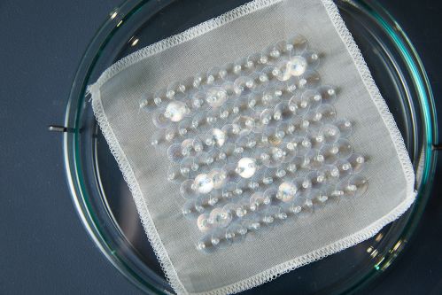 Sequins embroidered onto textile sitting in petri dish
