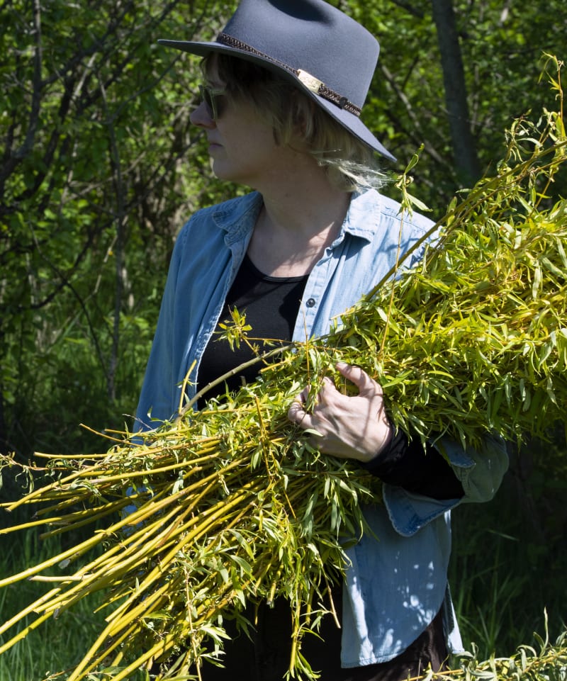 Angela  McIntosh
