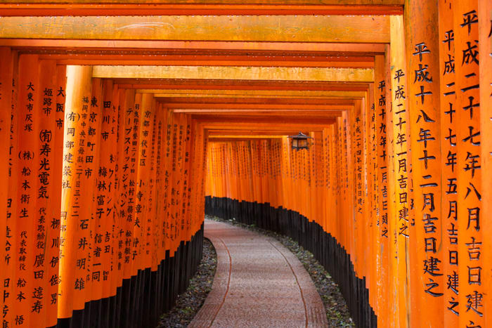 BA Textile Design Research Trip to Kyoto Institute of Technology