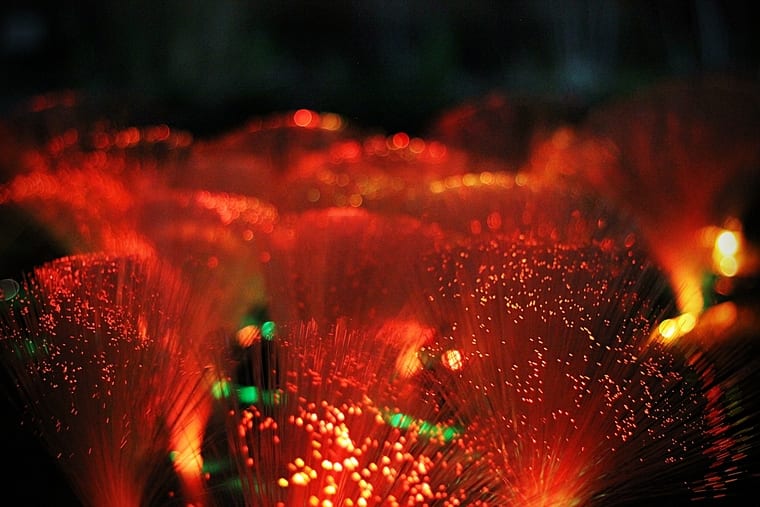 Interaction Design Arts grads light up Elephant Park with Elephant Glow light installations