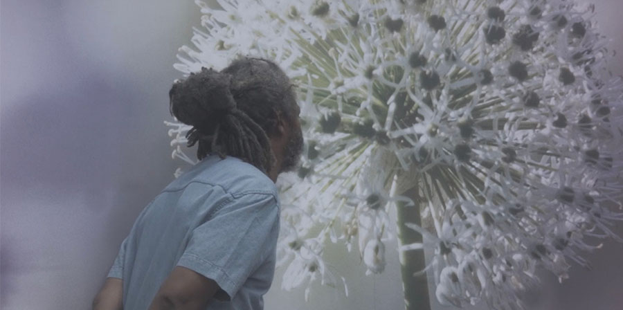 A man looking at an enlarged print of a flower