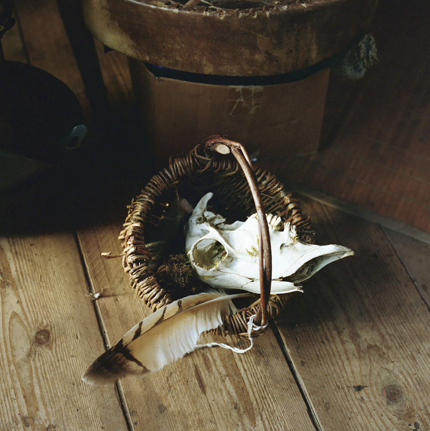 skull-and-feather-web