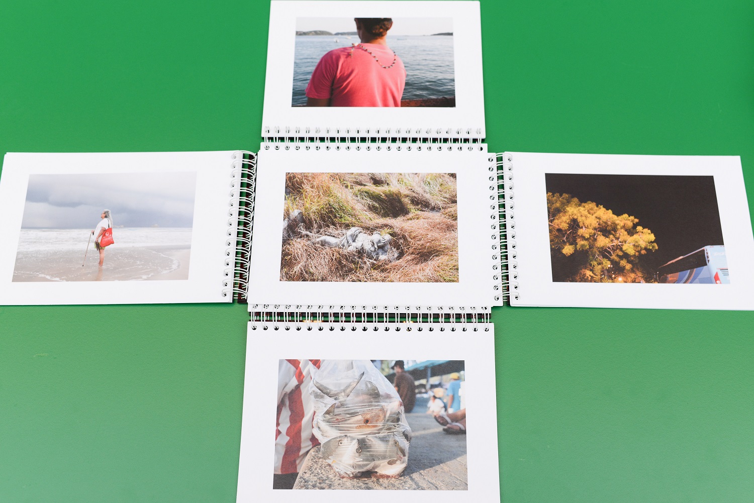 ©Monica Alcazar-Duarte