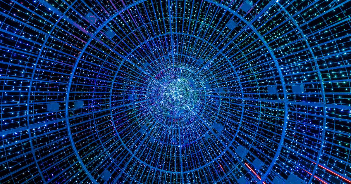 Inside view of Yoni's tree at Wembley