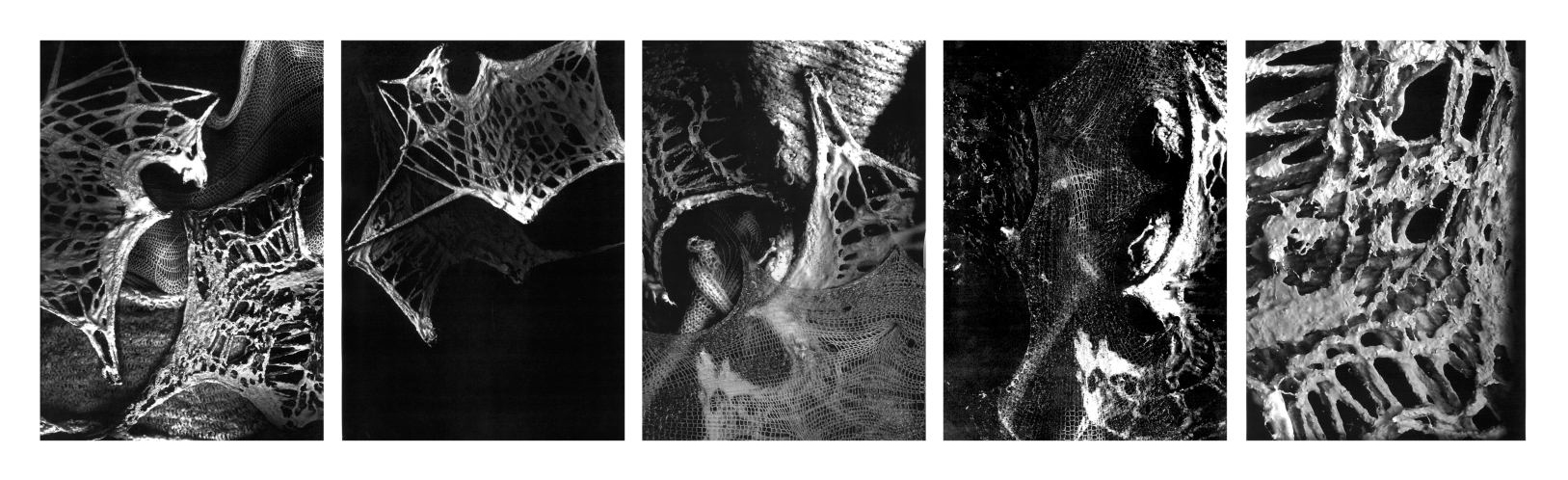 Composite image of lattice objects