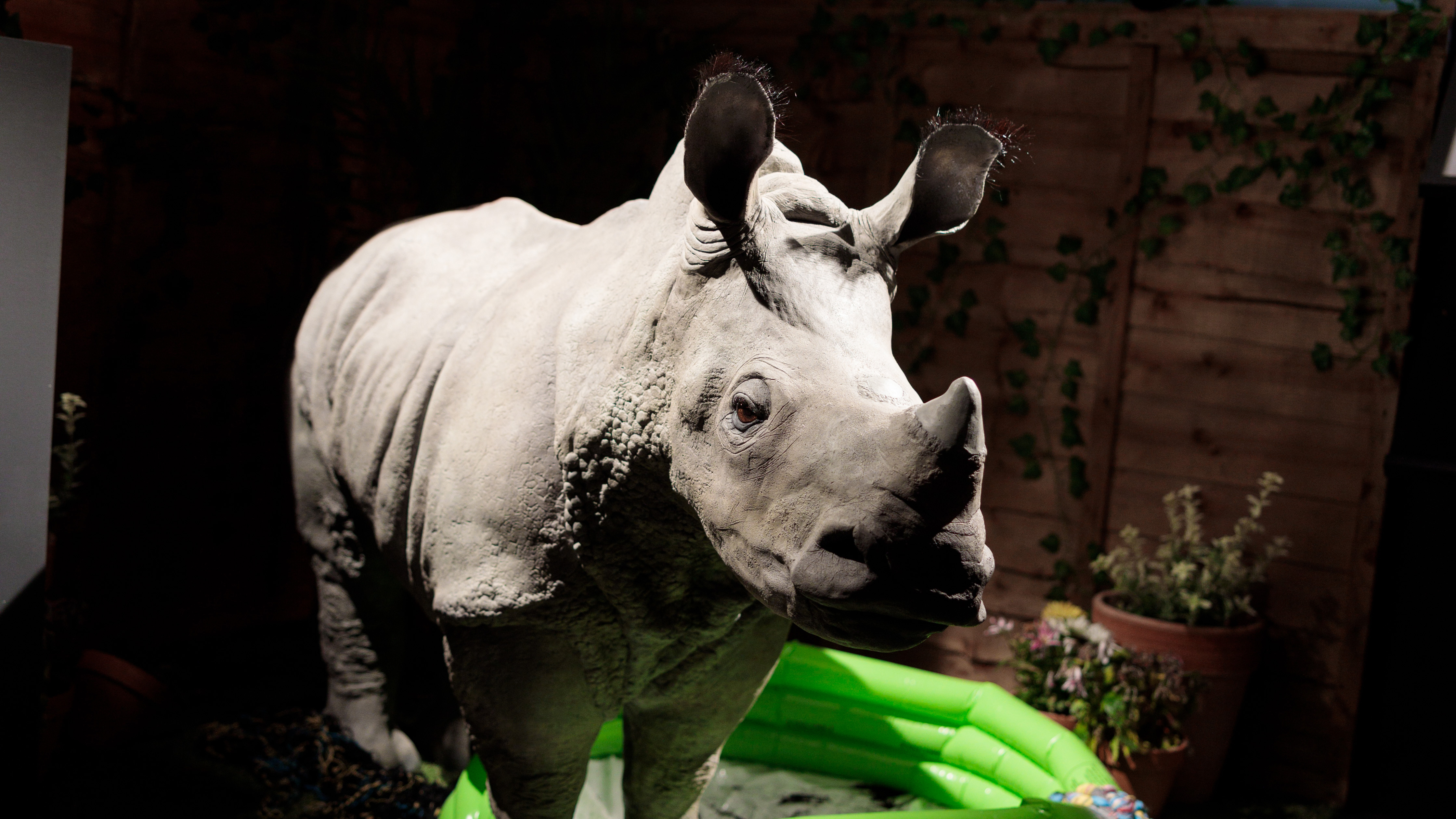 Model of a baby rhino made by Keiran Pratt - BA Technical Arts for Theatre and Performance.