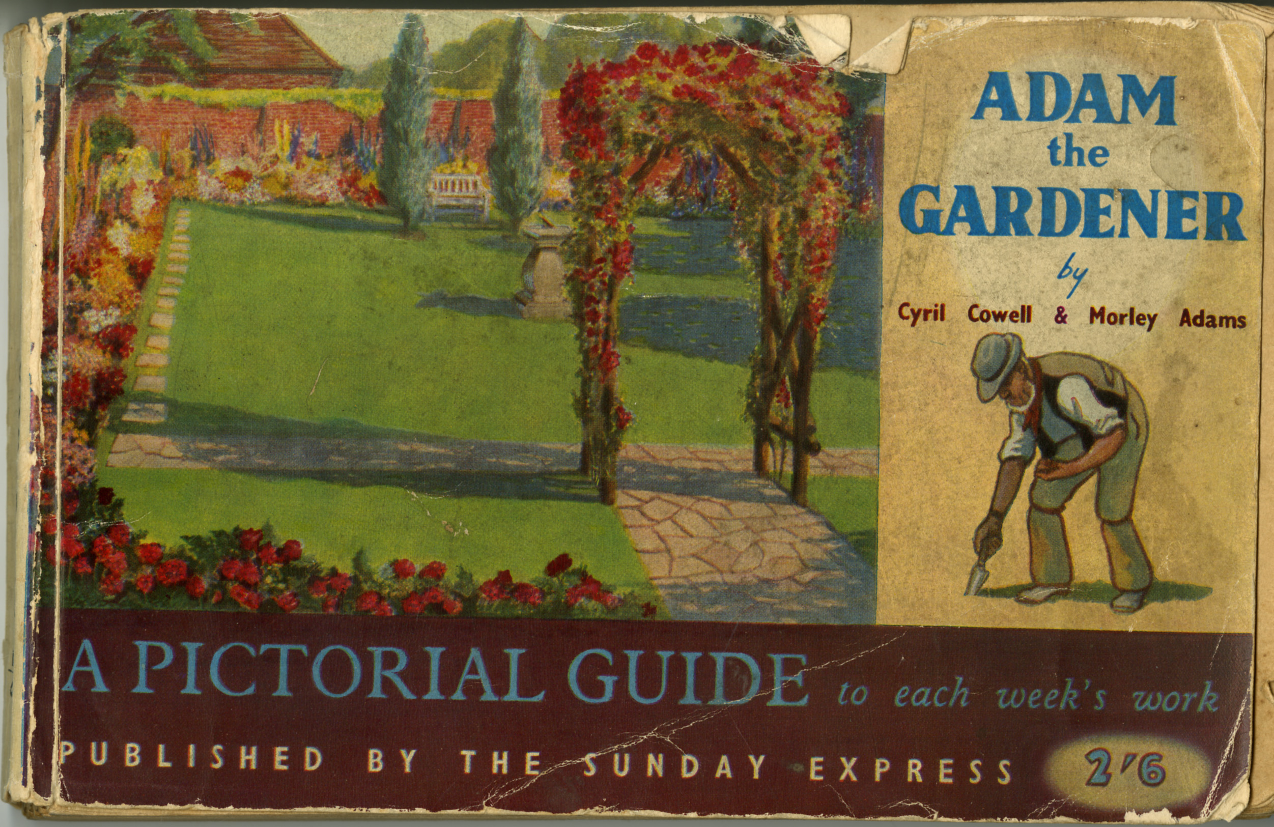 Adam the Gardener comic, Comic Book Collection