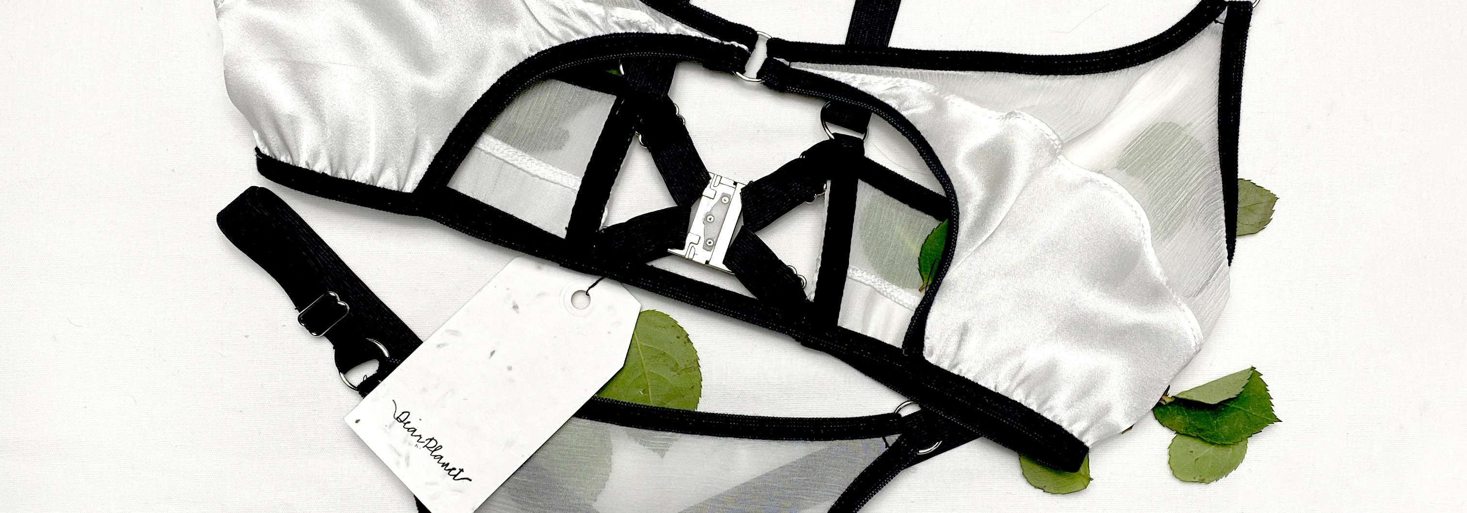 Photo of lingerie on white background surrounded by green leaves