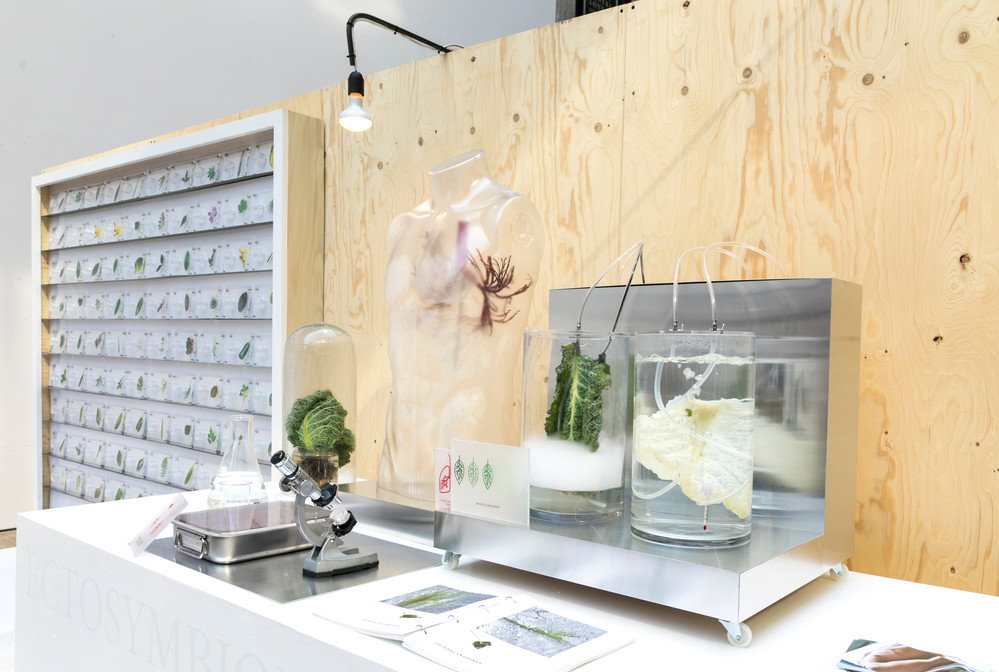 Scene showing scientific equipment and plants 