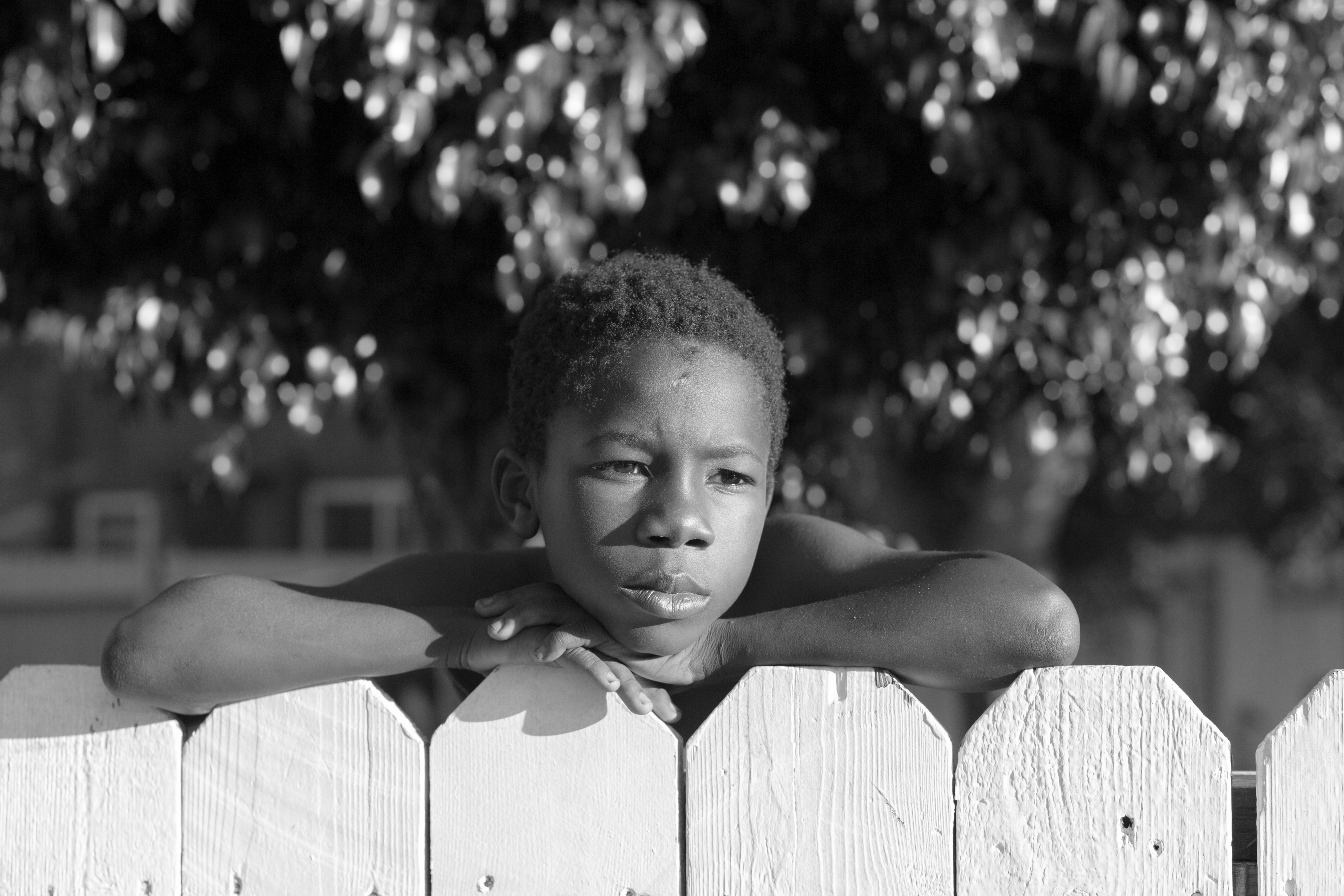 boy on fence