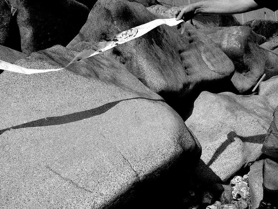 Terry and Helen_grayscale_web