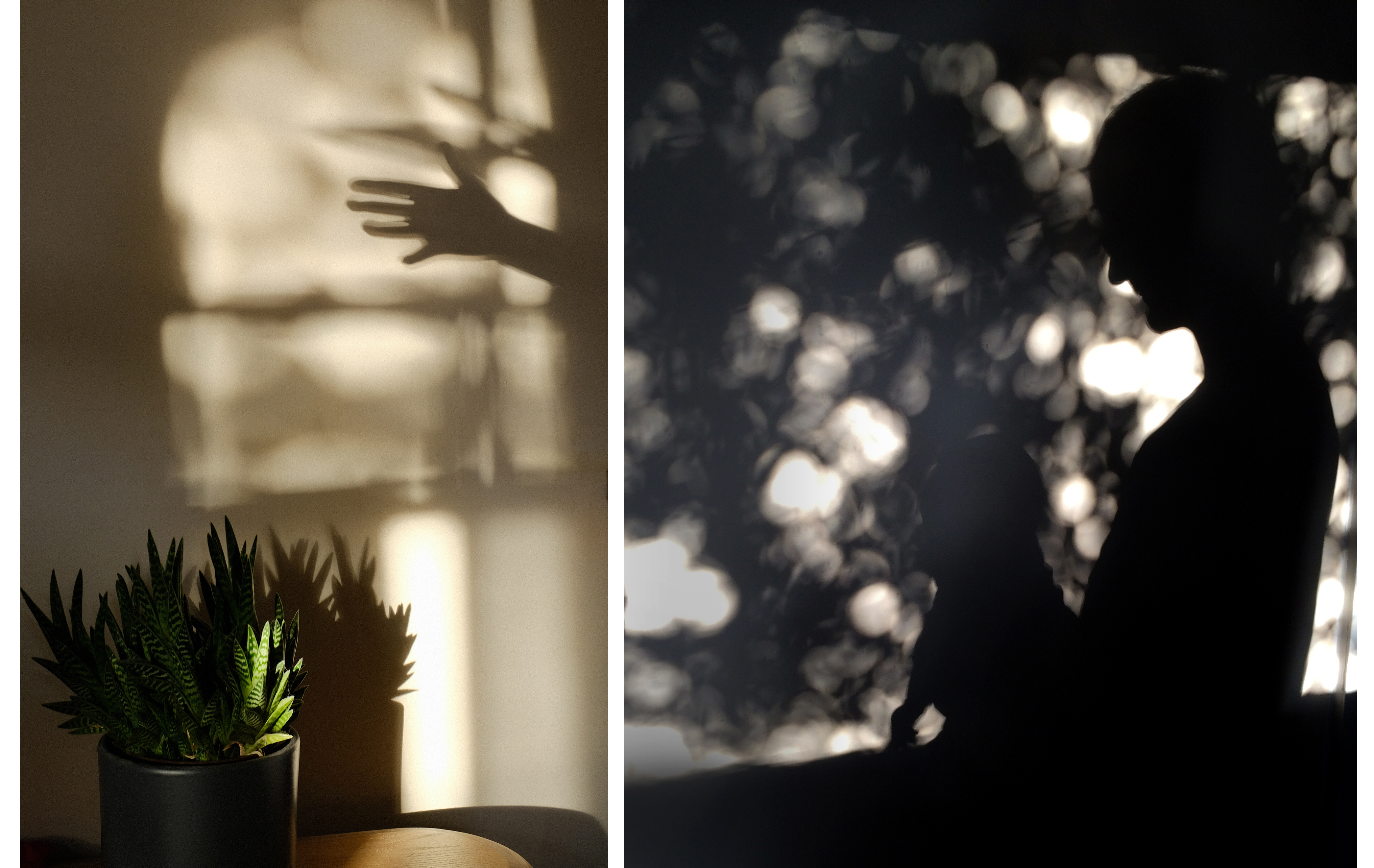 photo of woman and tree shadows