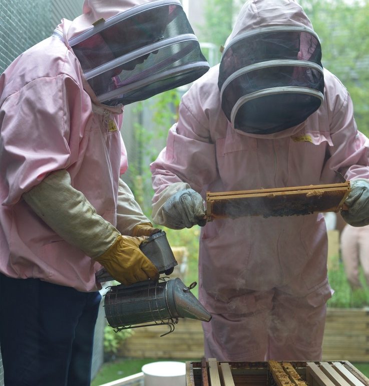 DSC2879_RSize_30_PrcntOrig-Resized-737×770